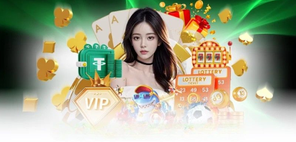Tổng Quan Về Tim88